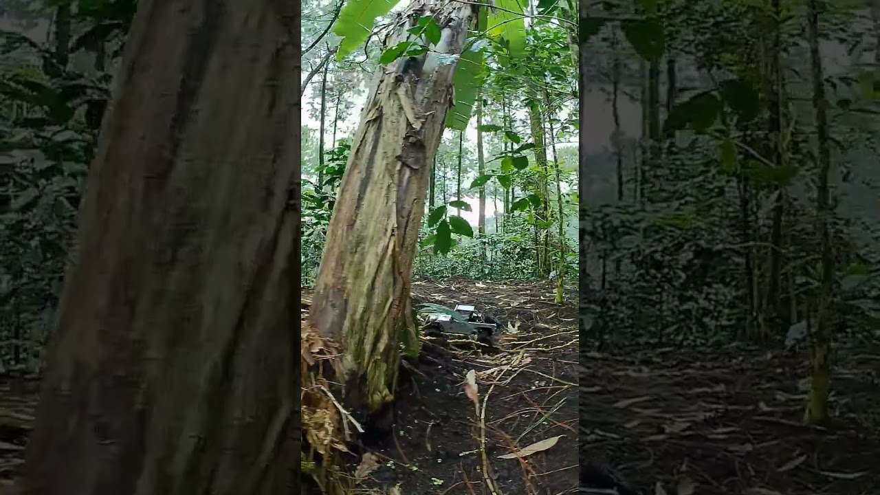 PART 2 BERKENDARA DI HUTAN SENDIRIAN
