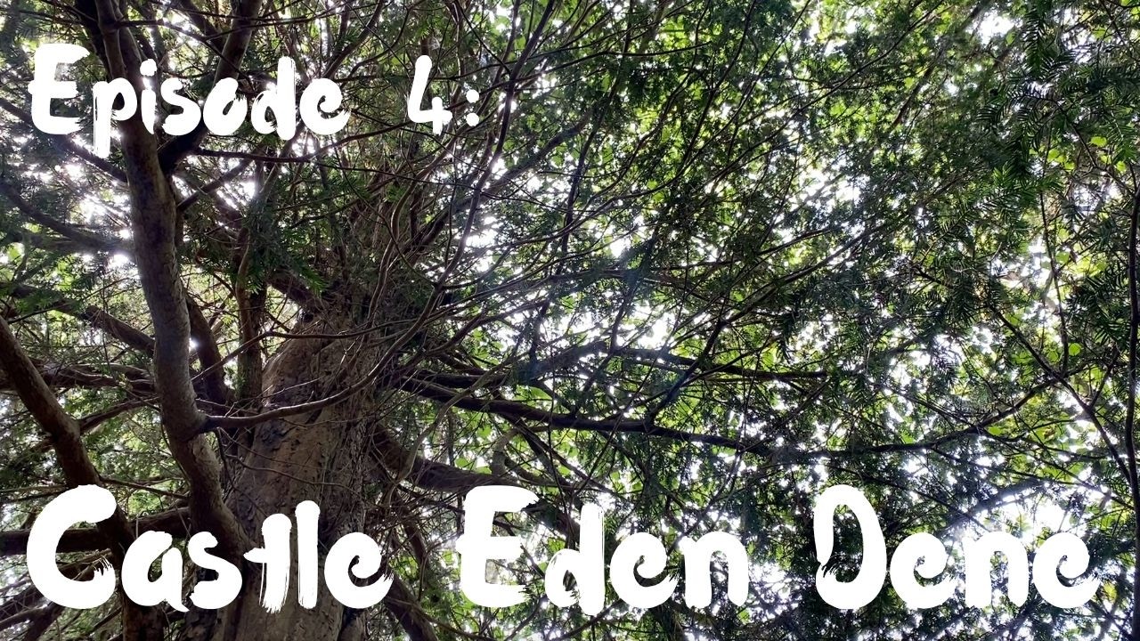 The Woodland Sessions Episode 4: Castle Eden Dene