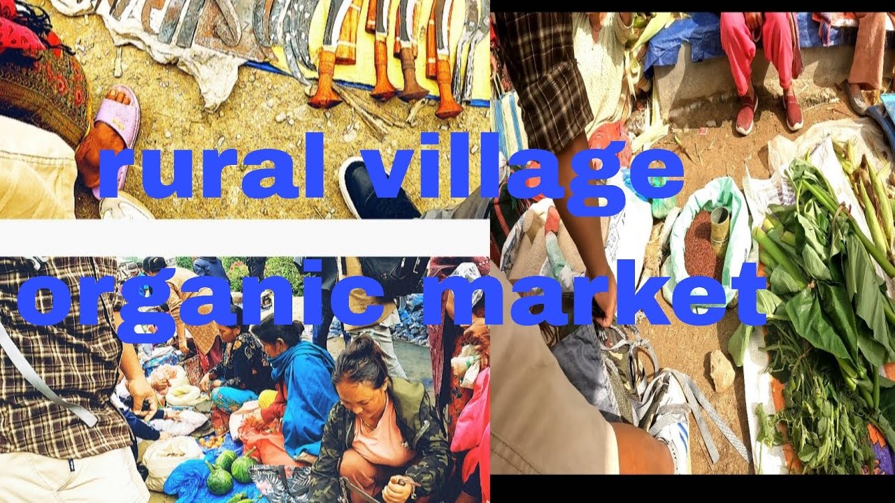 Village organic market 
