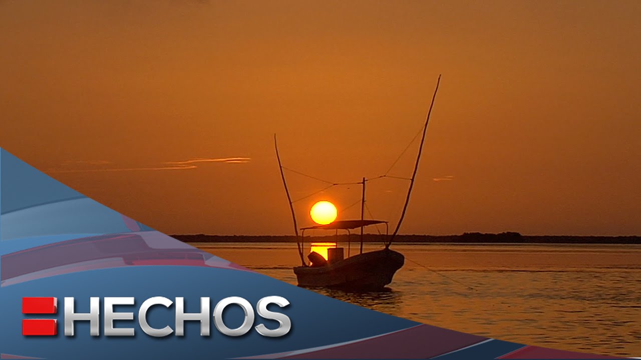 El otro México con Carolina Rocha - La pesca de pulpo en río lagartos