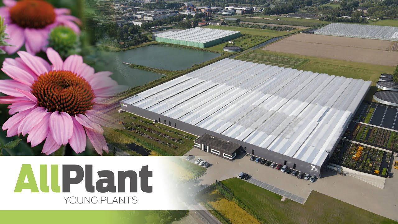 AllPlant bedrijfsvideo