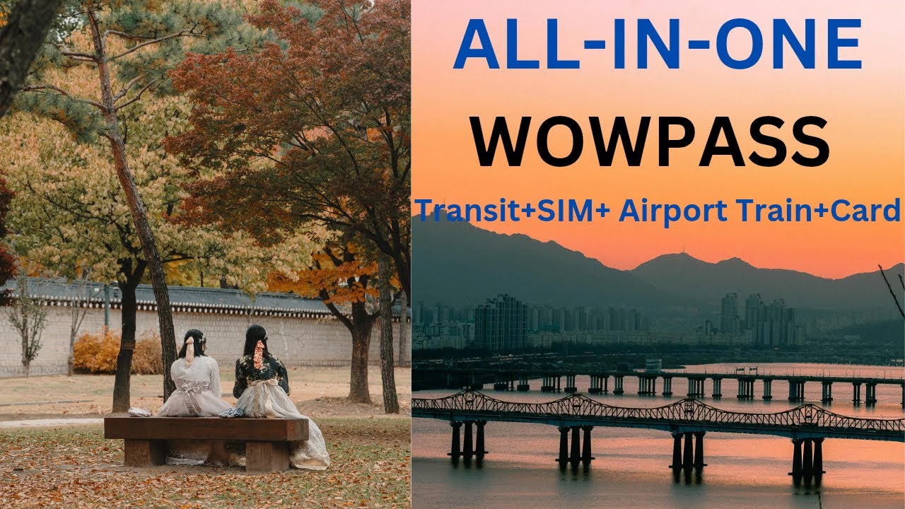 ALL-IN-ONE KOREA CARD-WOWPASS(2025)#southkorea #travelpass #subway#travel#sim#card#underground