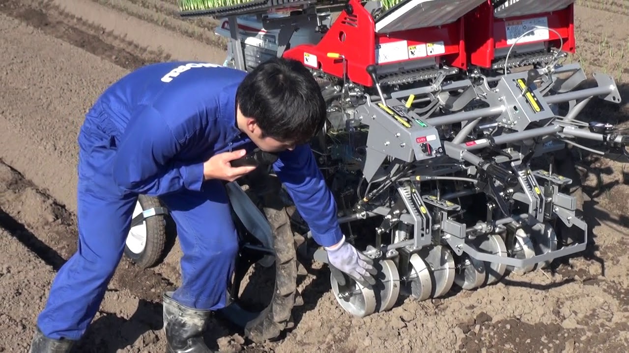 青野玉ねぎ植え付け