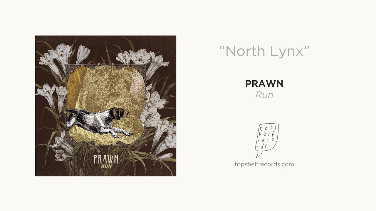 Prawn - 