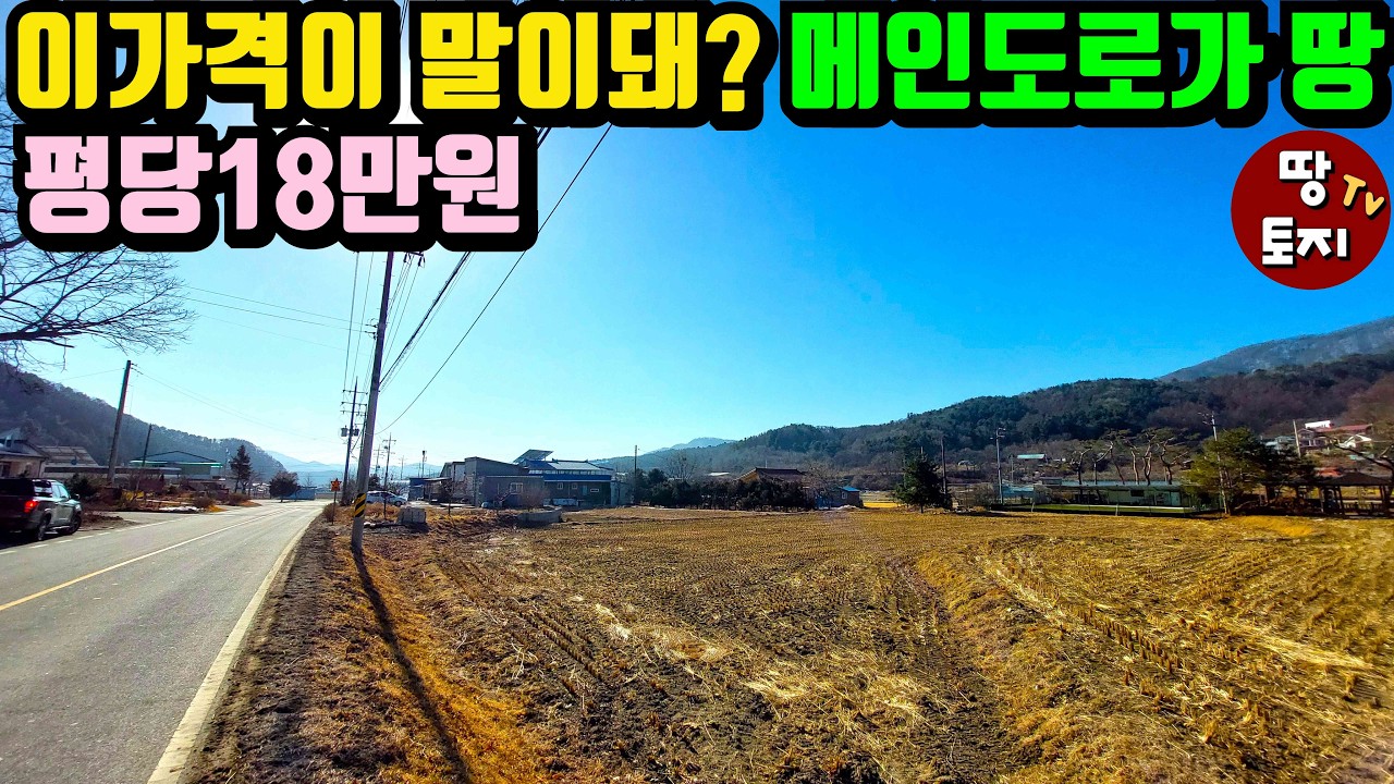 [광고]매도자분 다 포기했습니다 양평 메인도로가 땅을 평당18만원 헐값에 던집니다 싼 저렴한 체류형쉼터 농막용 토지 급매물 귀농 귀촌 텃밭 소액 땅 농지원부 농업직불금#양평급매토지