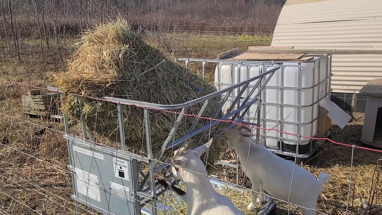 DIY No Waste Hay Feeder
