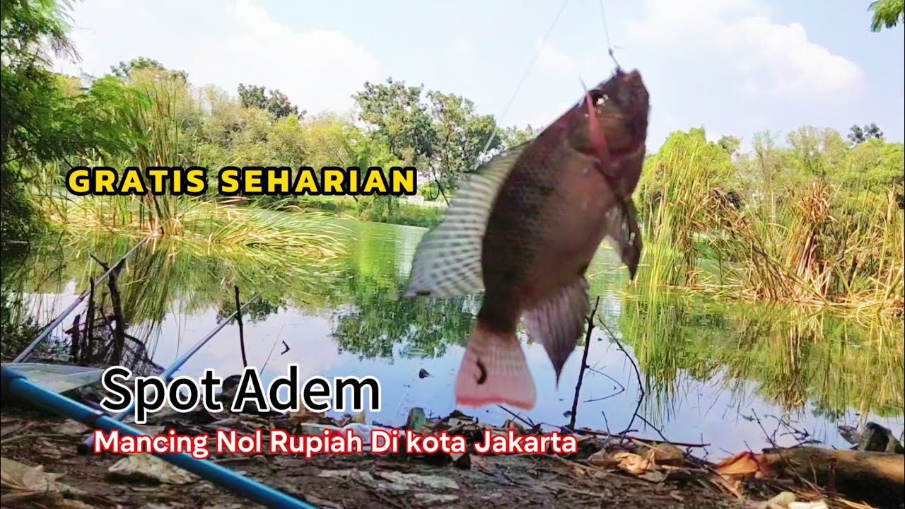 Mancing Liar Nol Rupiah Di Jakarta Sambil Refreshing