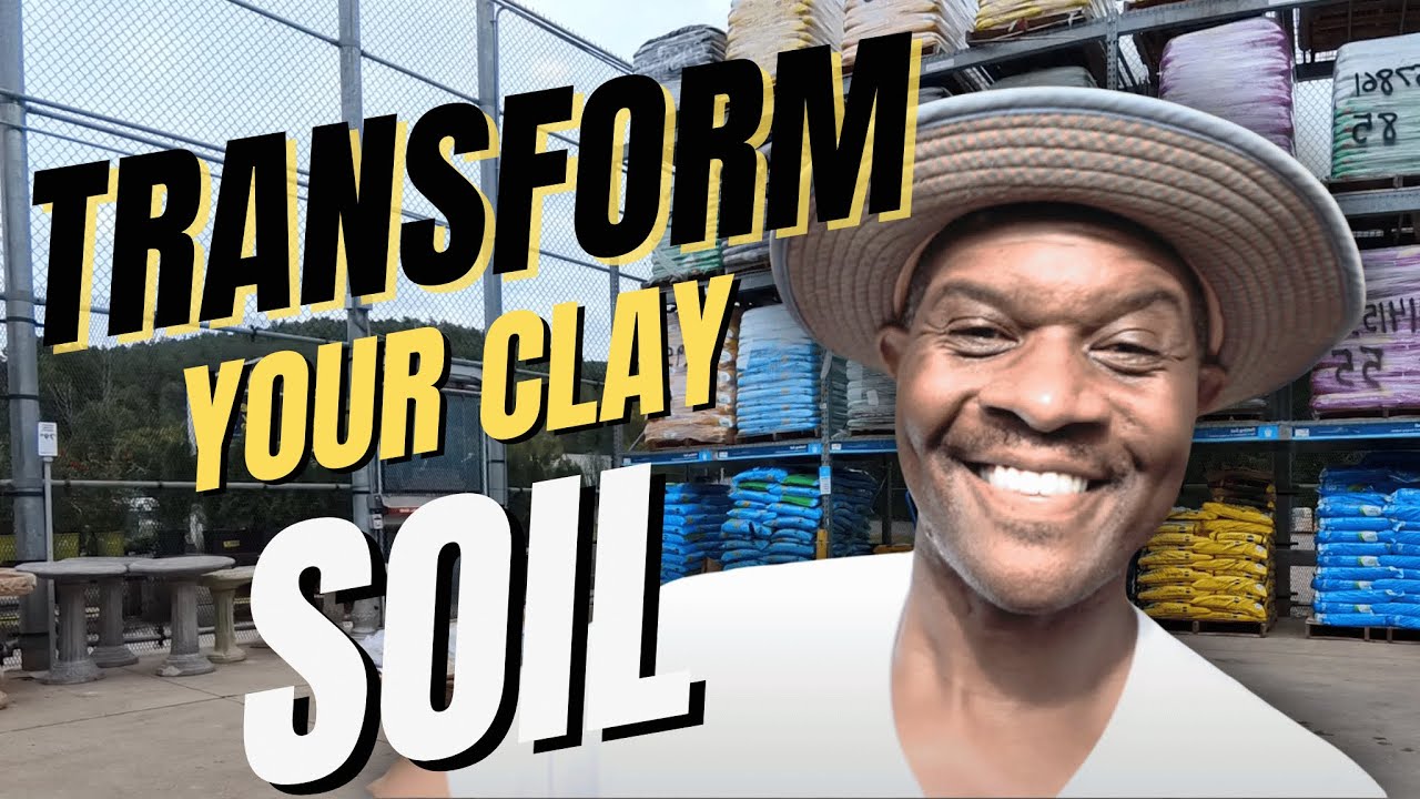 Clay Soil Destroying Your Garden? Try This First