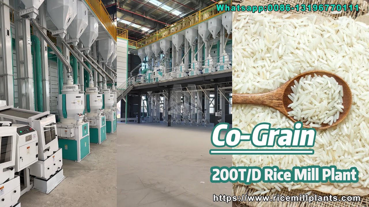 200T Rice Mill Plant | Rice Processing Machine Factory from China #ricemillsupplier #ricemill