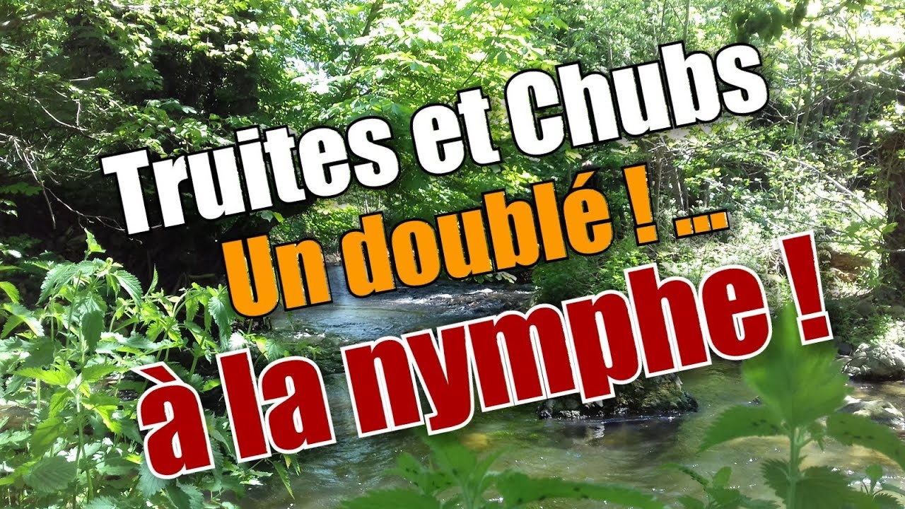 Pêche à la mouche : Truites et chubs à la nymphe.