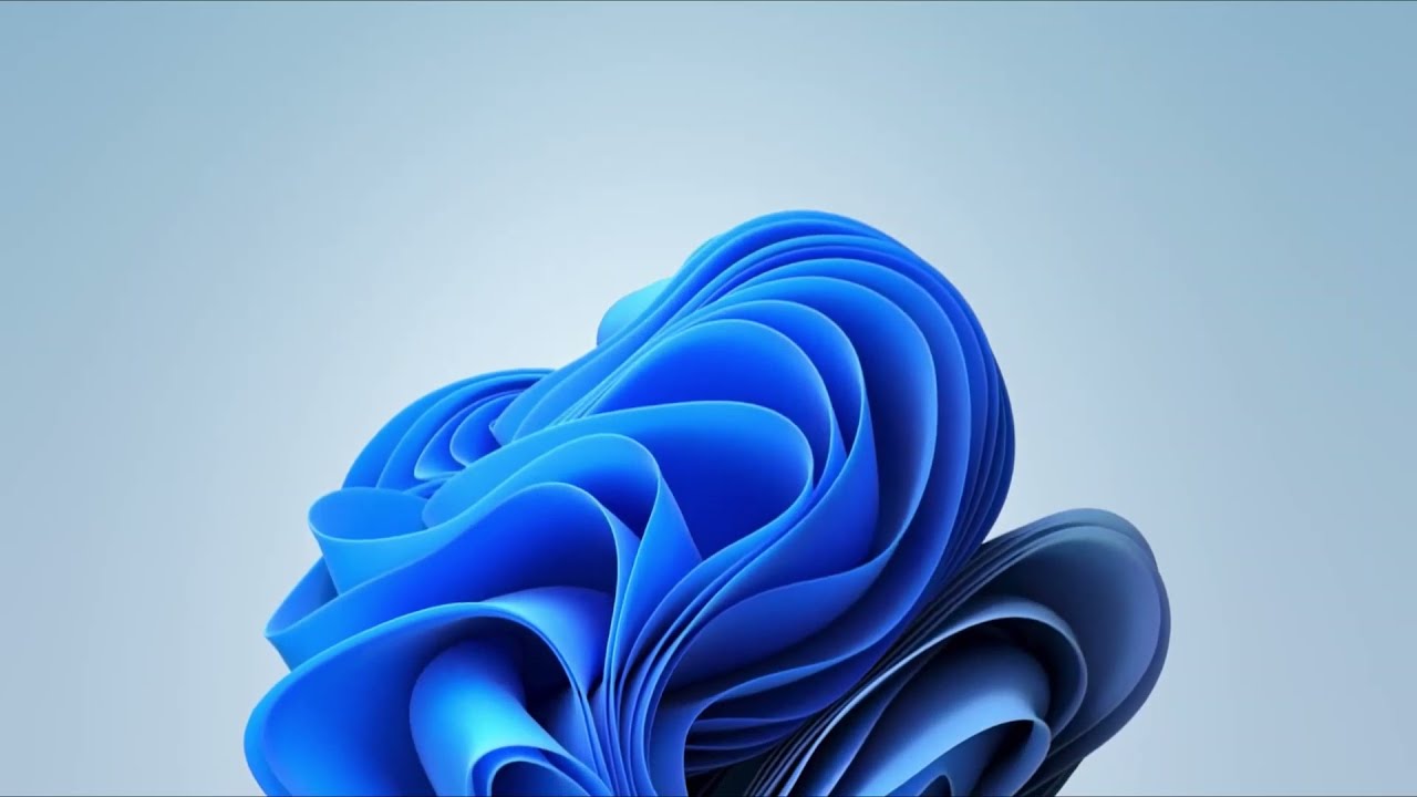 Windows 11 Startup Bloom Animation! | But I want this on PC startup  | #infoyps #windows11 #win11 |