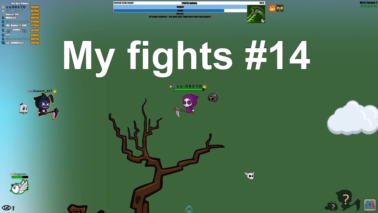 My fights #14//Evoworld.io