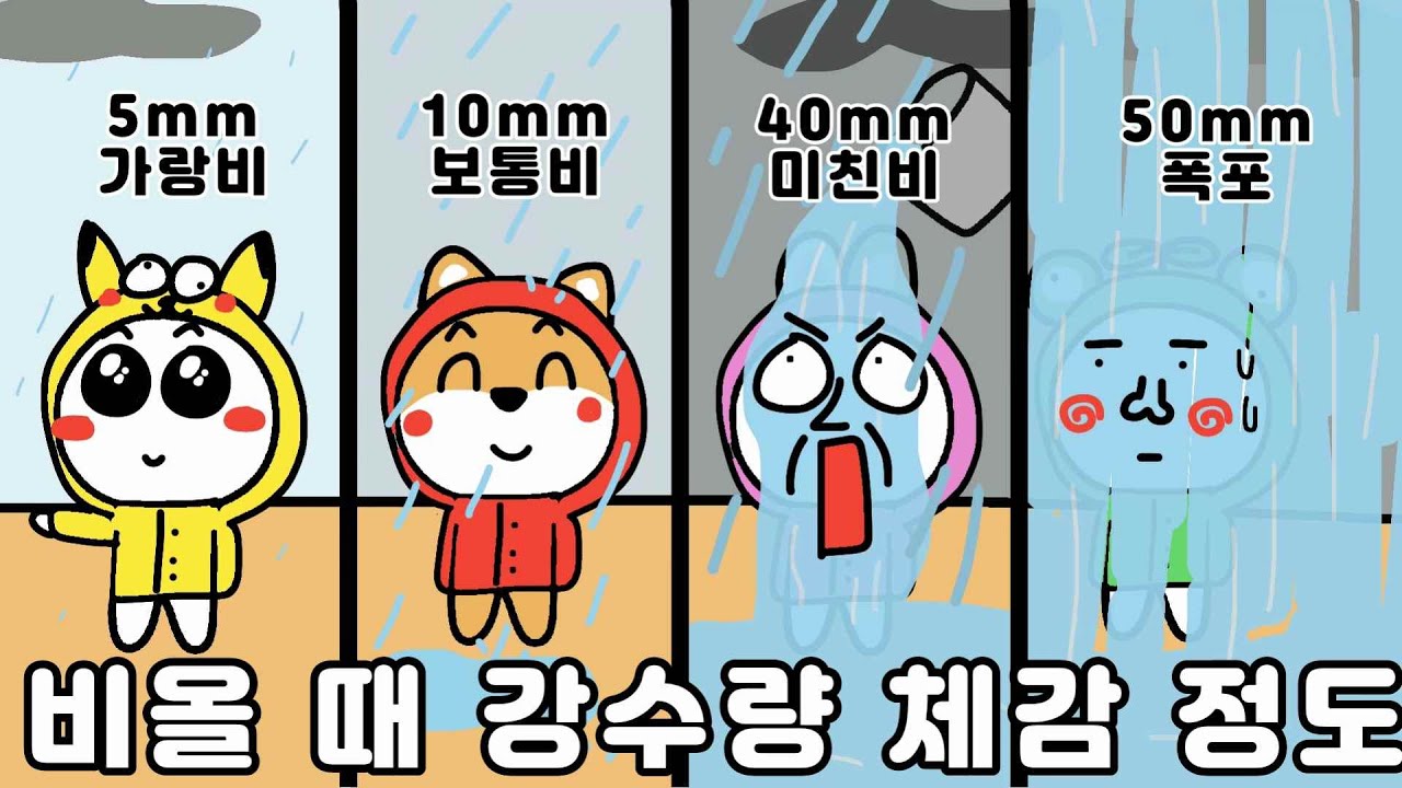 강수량 10mm면 어느정도일까? 강수량에 따른 체감 정도