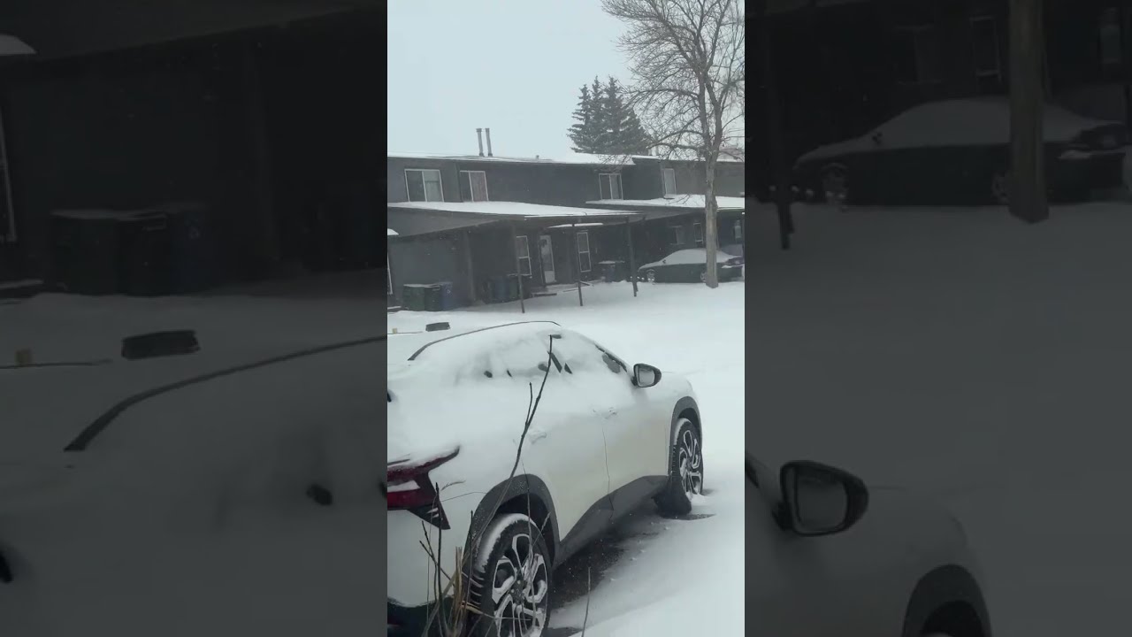 Canada life videos  is live!