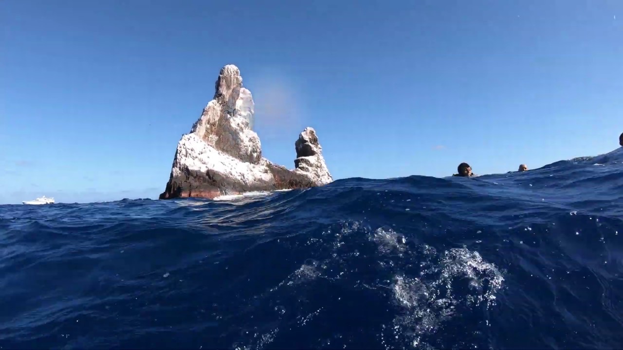 Diving Isla Roca Partida , Revillagigedo