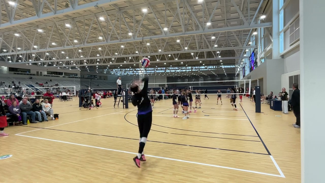 Viper 16 Elite vs EVA - 2/1/2026 - Set 2