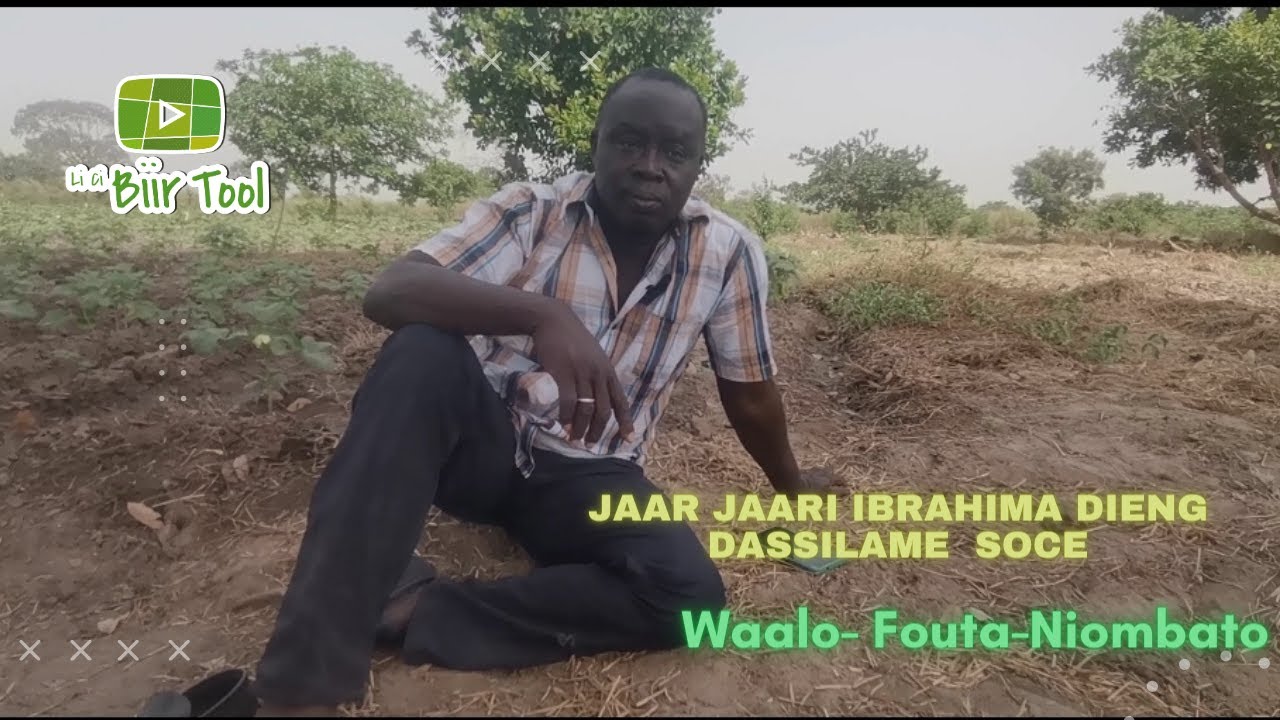 LCBT Jaar jaari Ibrahima Dieng Toubacouta/ Dassilamé socé