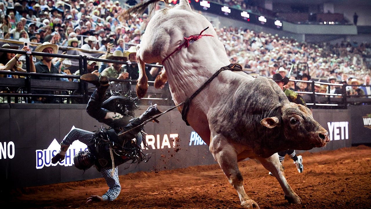 UNTOUCHABLE! Every Top Dollar Out of the 2026 PBR Season