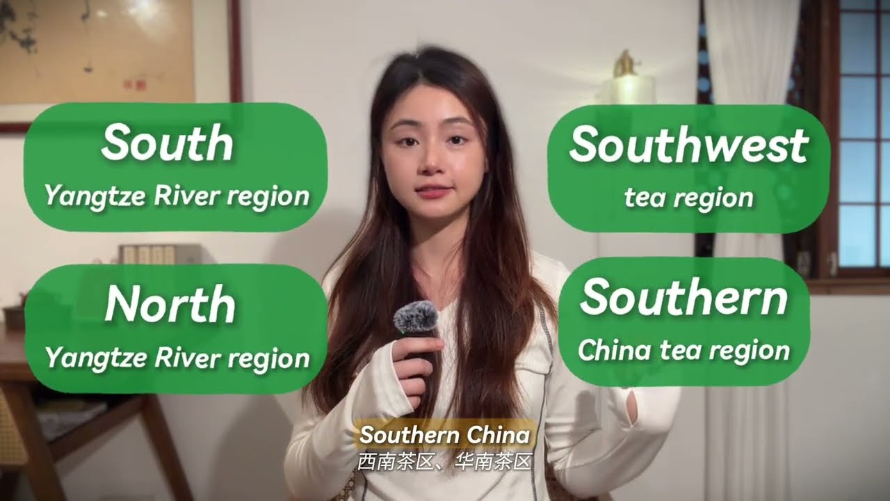 How do we divide the modern tea areas in China?