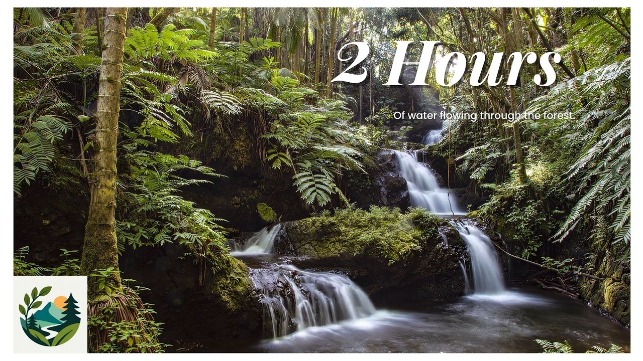 Calming Waterfall in Exotic Forest | White Noise for Deep Sleep, Mindfulness or Laser Focus(2 Hours)