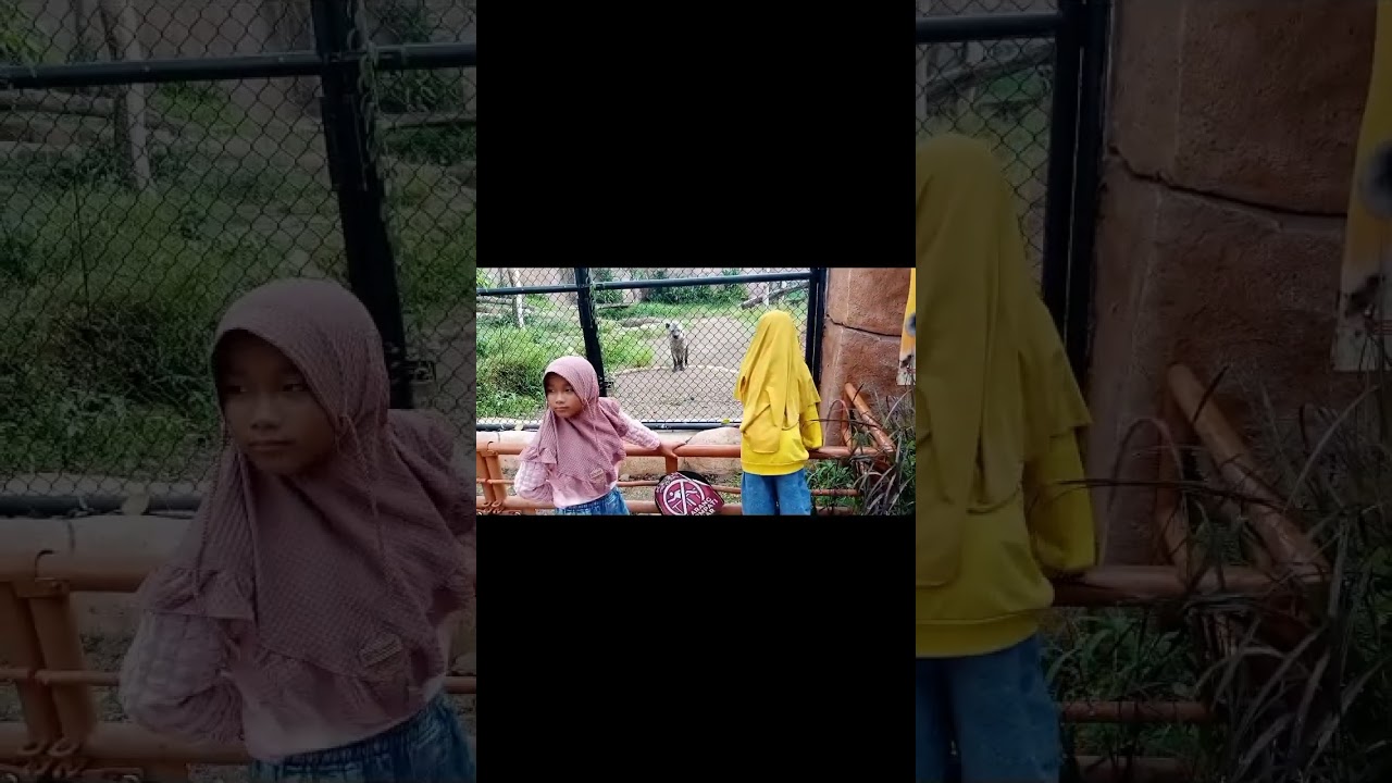 Piknik akhir tahun gembira loka zoo