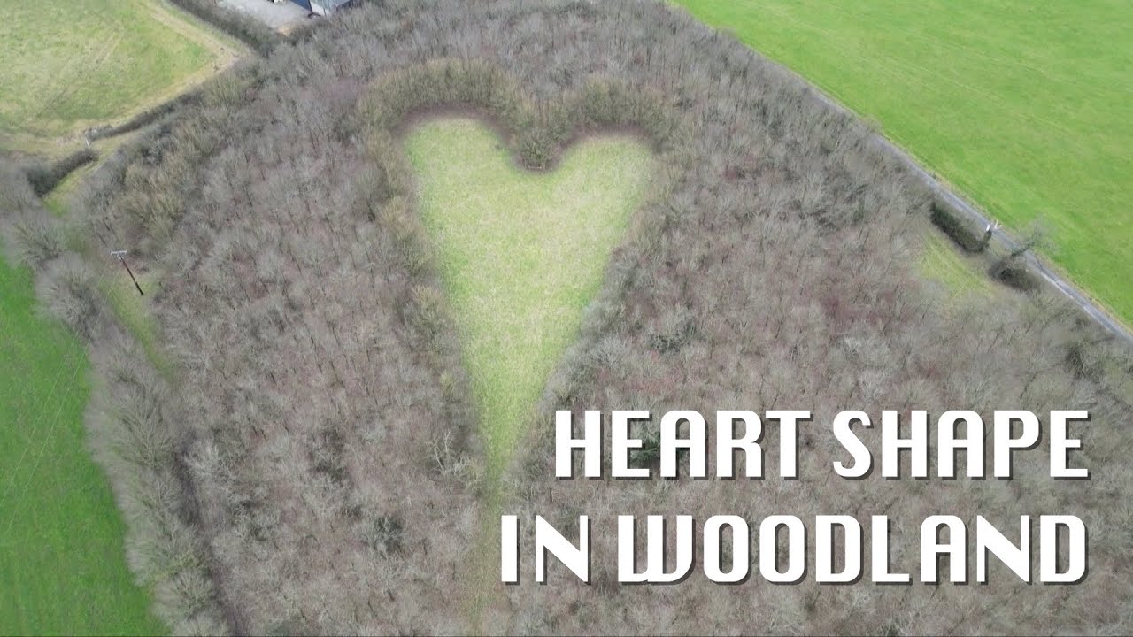 Drone reveals British widower's woodland heart tribute to wife #valentinesday