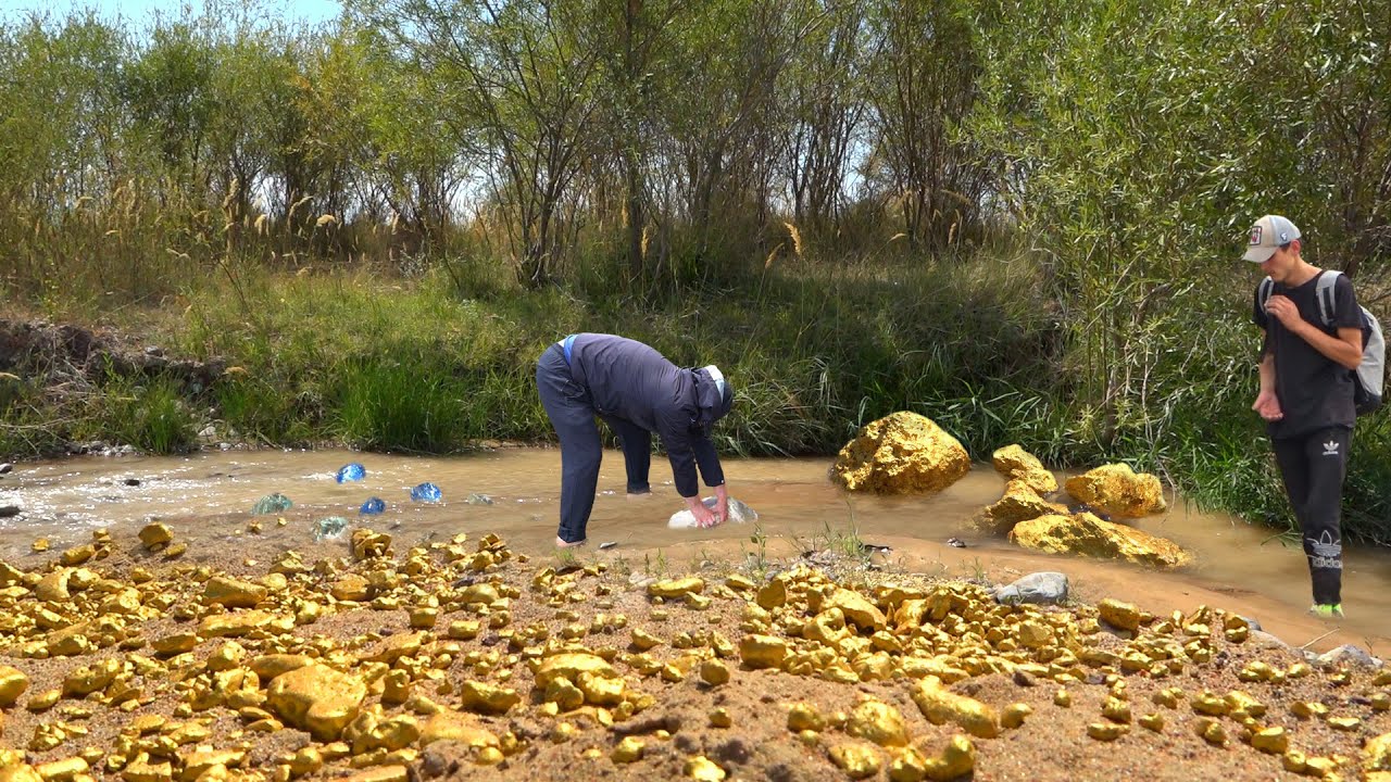 Golden Treasures of the River!