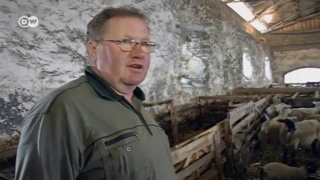 Hard Times for Germany's Sheep Farmers | Business Brief