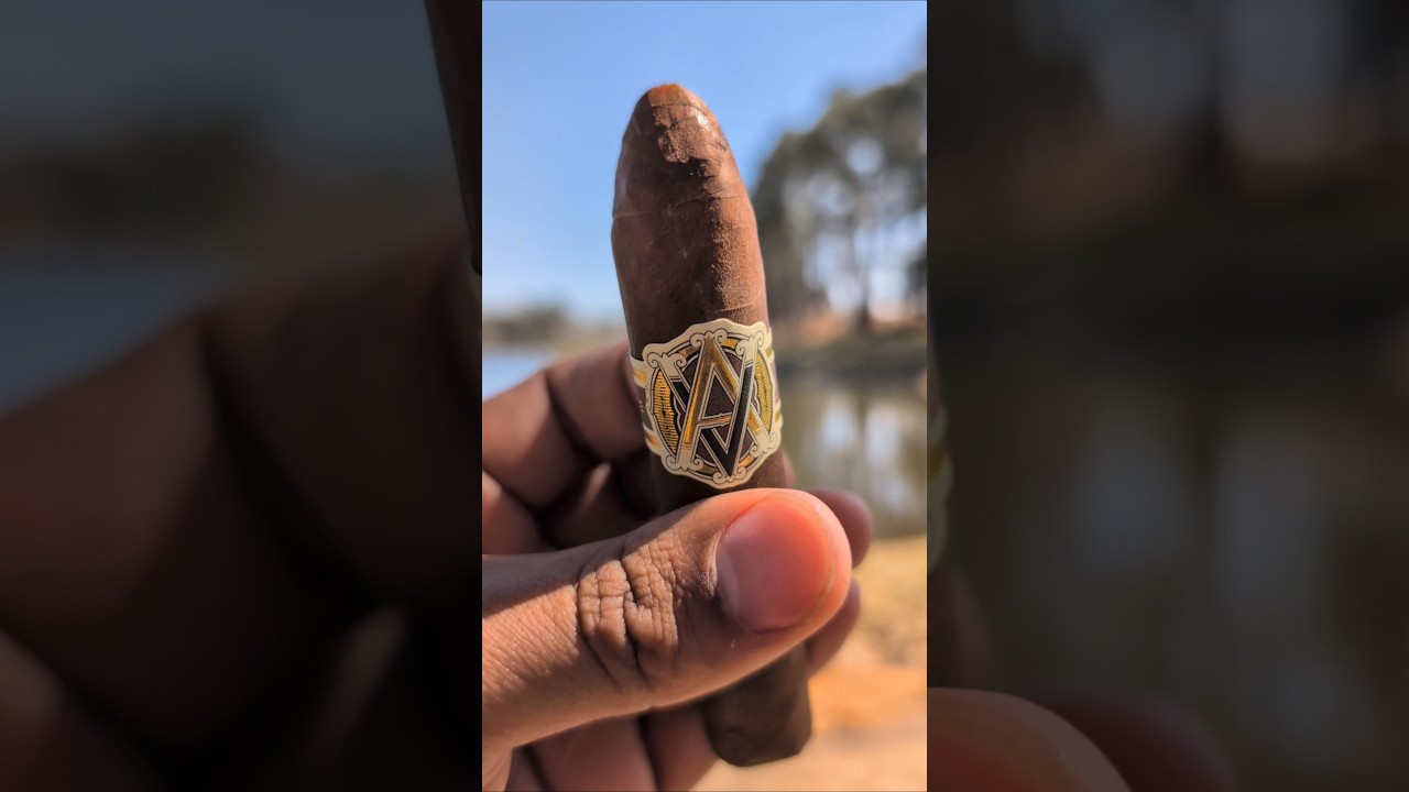 💯 ASMR Smoking a Cigar and Relaxing thanks @SoySauceAssassin #cigars #shorts #weekend