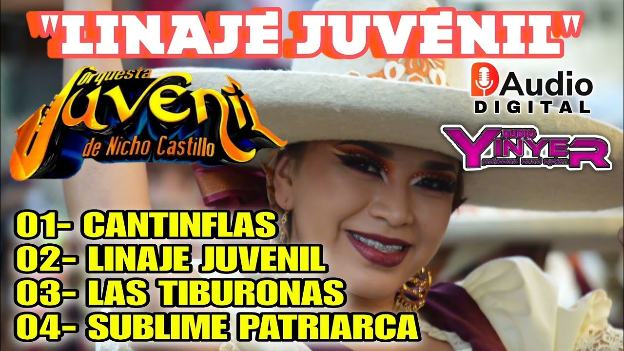 ORQUESTA JUVENIL NICHO CASTILLO 