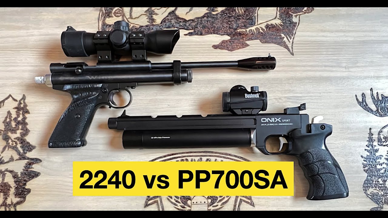 Crosman 2240 vs PP700SA  - Head To Head Shoot Out
