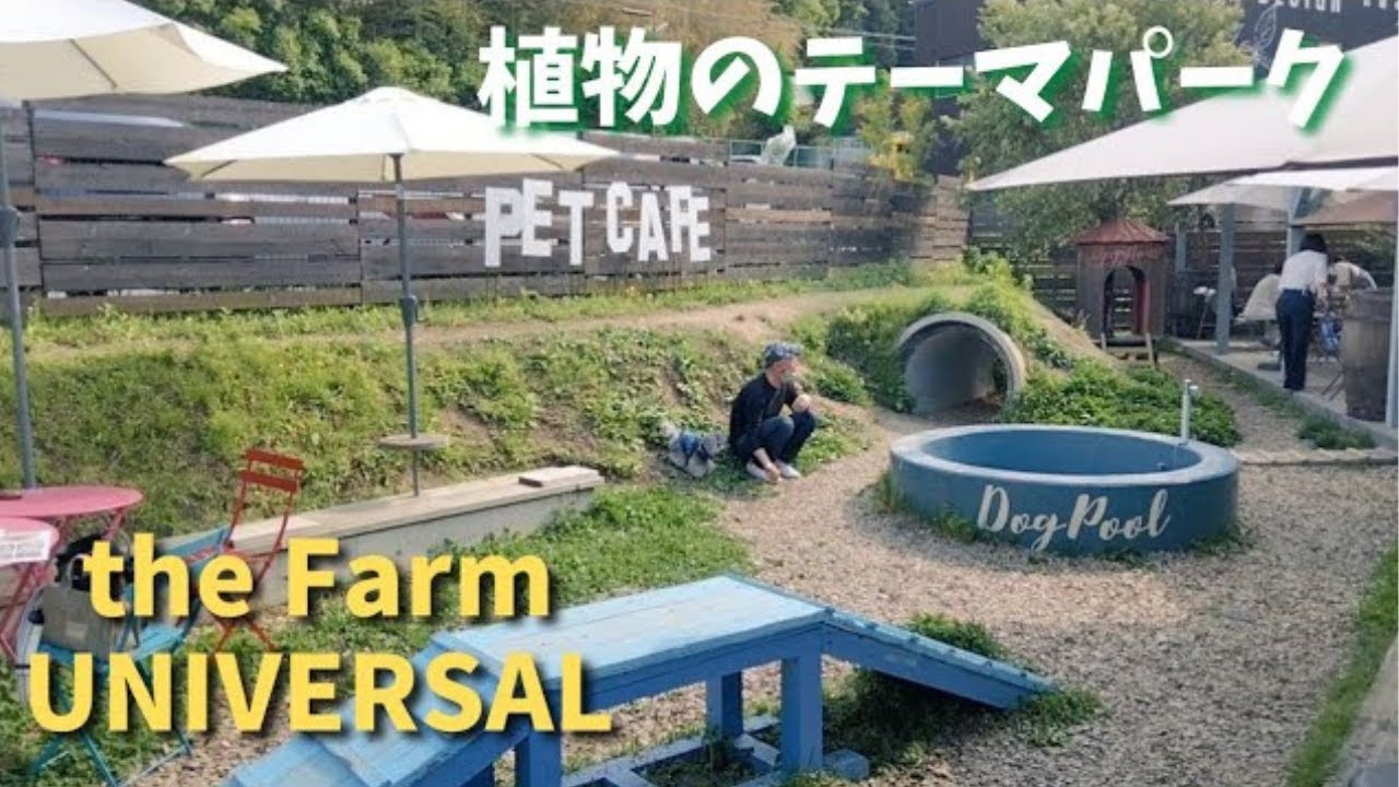 【the Farm UNIVERSAL】大型ガーデンセンターの中にある、ポーさん行きつけのドッグカフェ［再アップ］