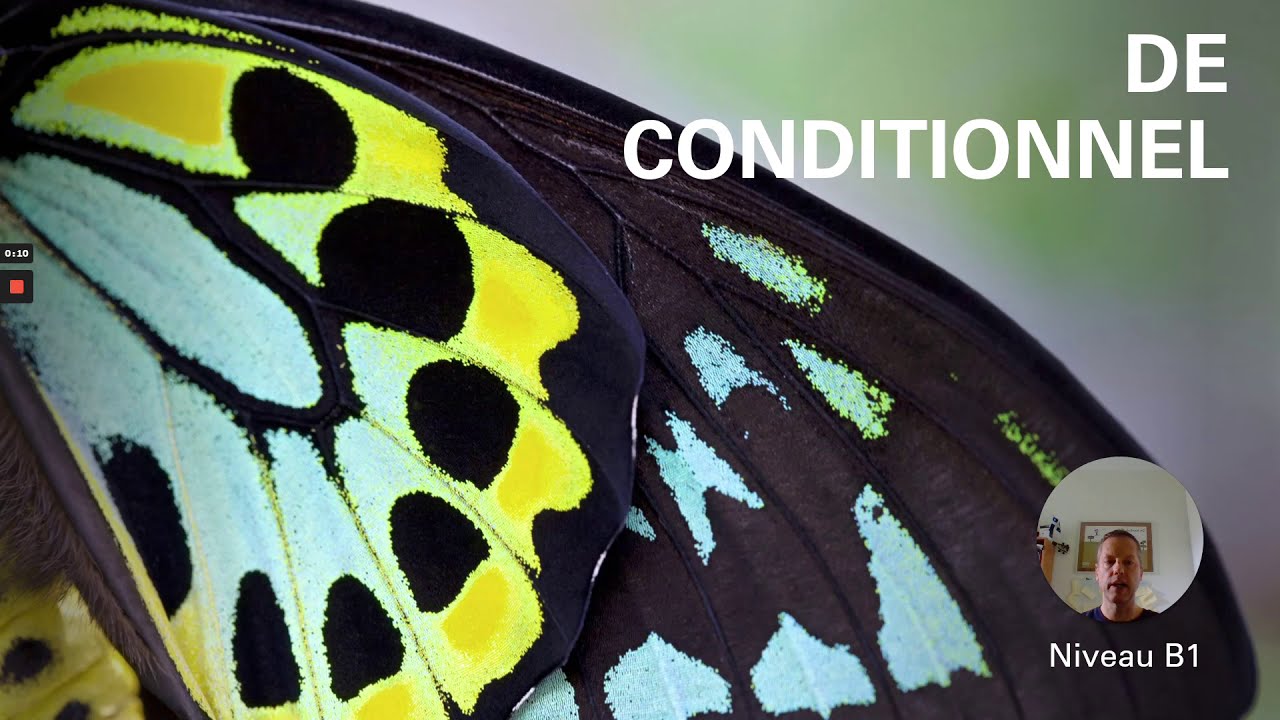 De conditionnel