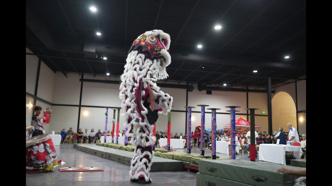 Leung's White Crane Team Black (8.70) - 2024 USA High Pole Lion Dance Championship