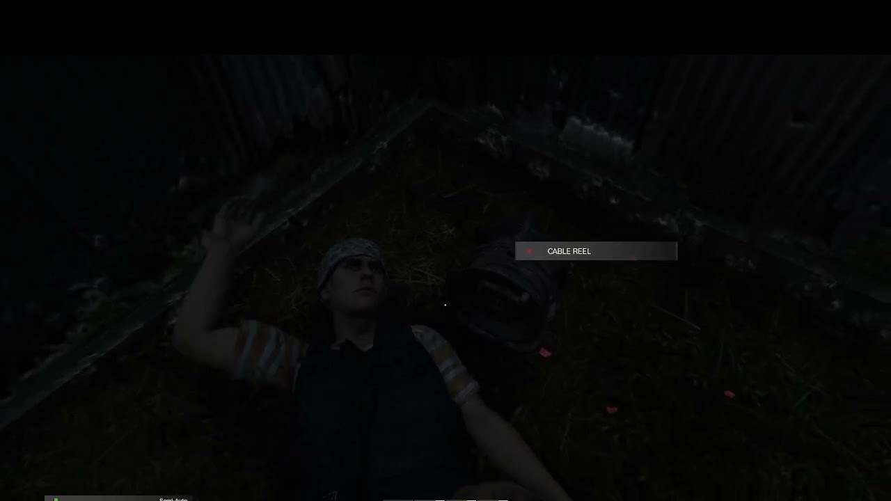 DAYZ DAR MICROFONUL STRICAT