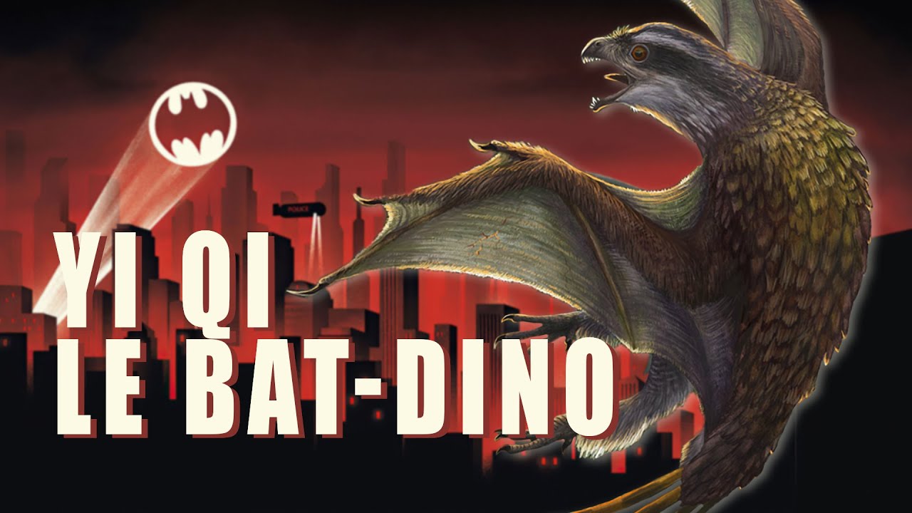 YI QI : Le DINOSAURE qui ressemble &agrave; une CHAUVE-SOURIS !
