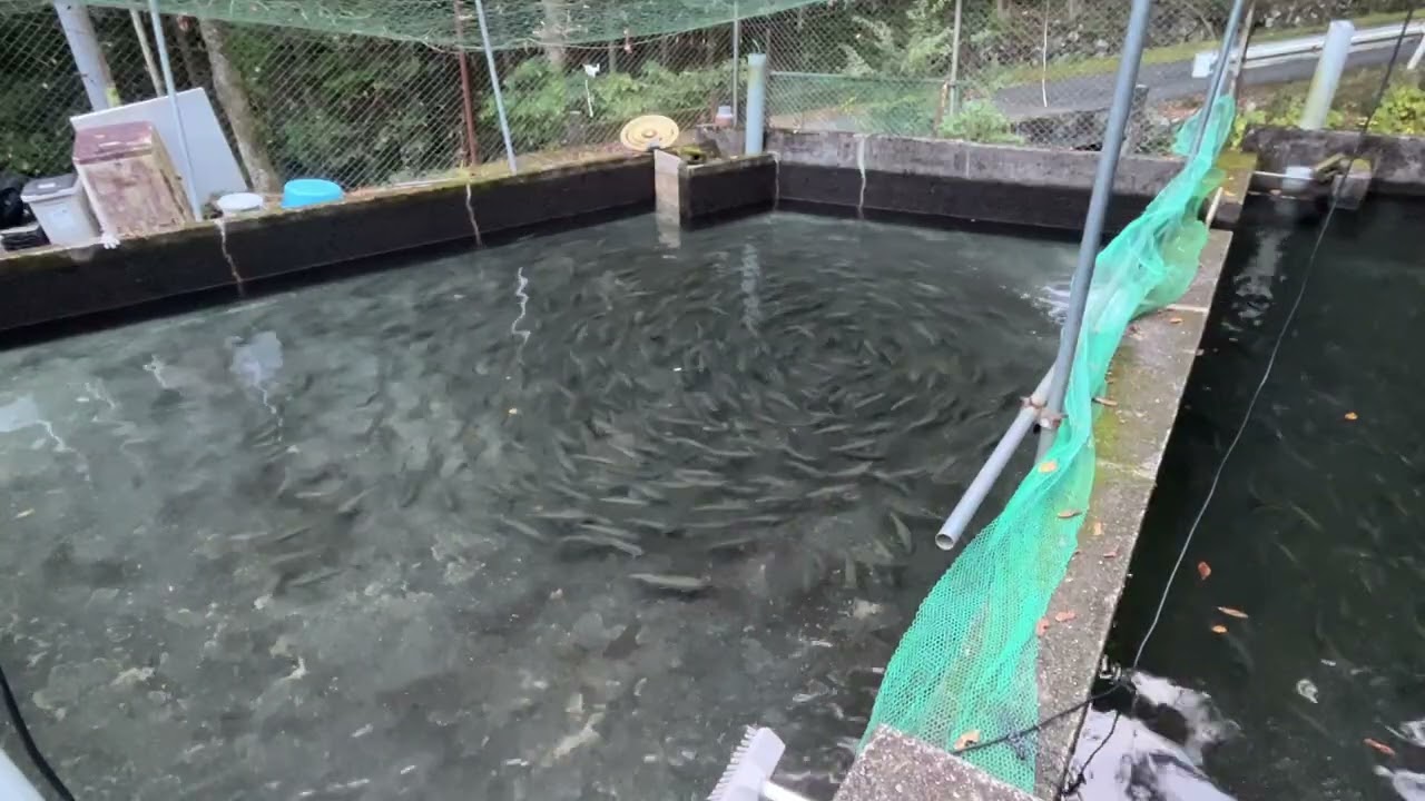 20251030飼育管理