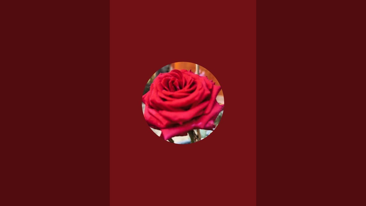 Rakhi Sagar is live!