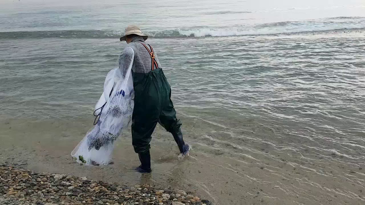 울진 바다와 민물이 만나는 곳에 투망 던졌습니다 회 뜰까요^^  HOW to Throw a CASTNET 撒网捕鱼