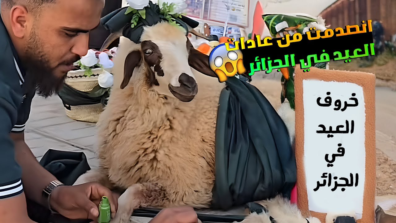 ‏الفرق بين العيد في سوريا 🇸🇾والعيد في ‏الجزائر 🇩🇿 ‏أول عيد لي في الجزائر تفاجأت🤩