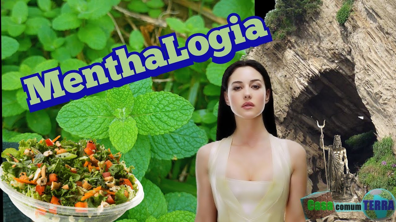 Hortel&atilde; - Mentha spicata uma hist&oacute;ria menthol&oacute;gica  😌 #ervas
