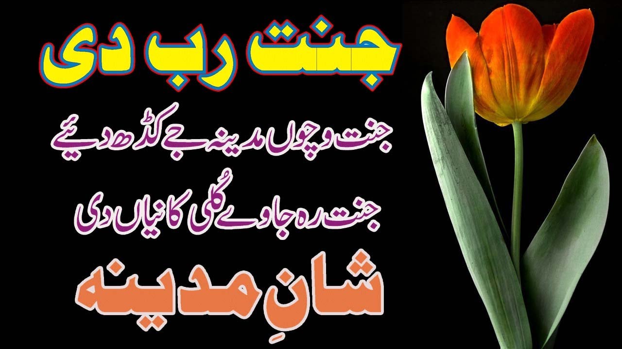 Jannat reh jandi Kuli Kanayaan di  poet Nasir Shah  best punjabi kalam heart touching punjabi kalam