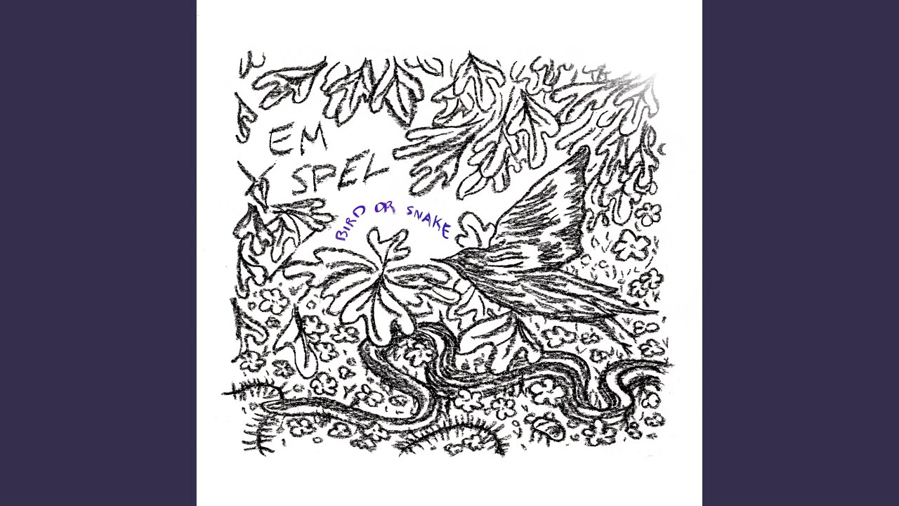 Bird or Snake