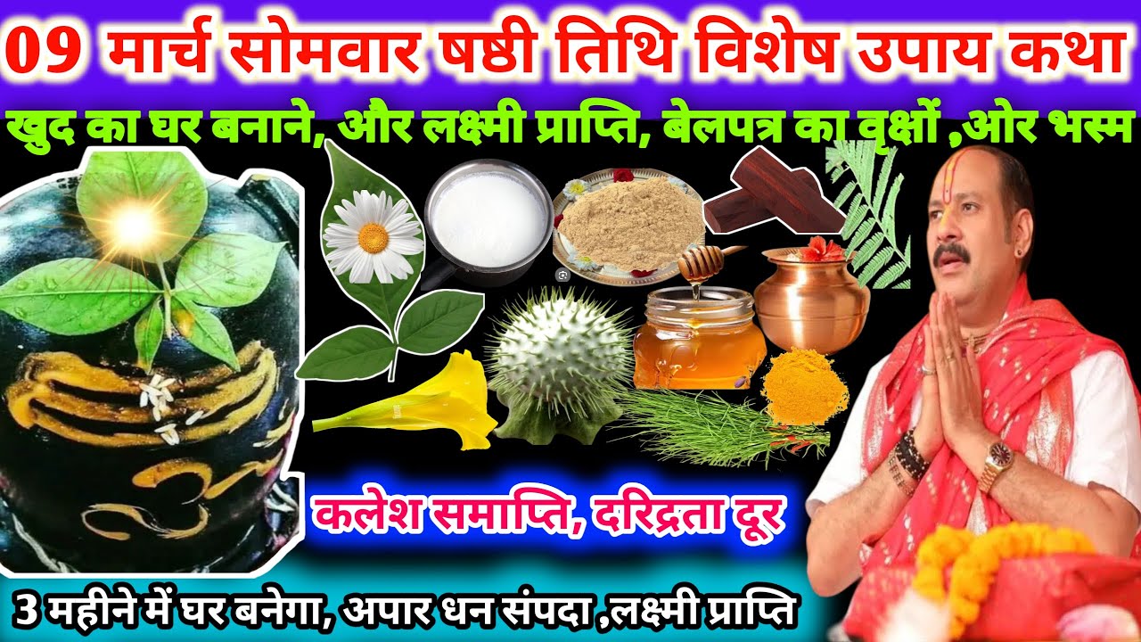 9 मार्च सोमवार षष्ठी तिथि के दिन। खुद का घर बनाने, और लक्ष्मी प्राप्ति ,बेलपत्र वृक्ष,और भस्म🌿🔱#upay