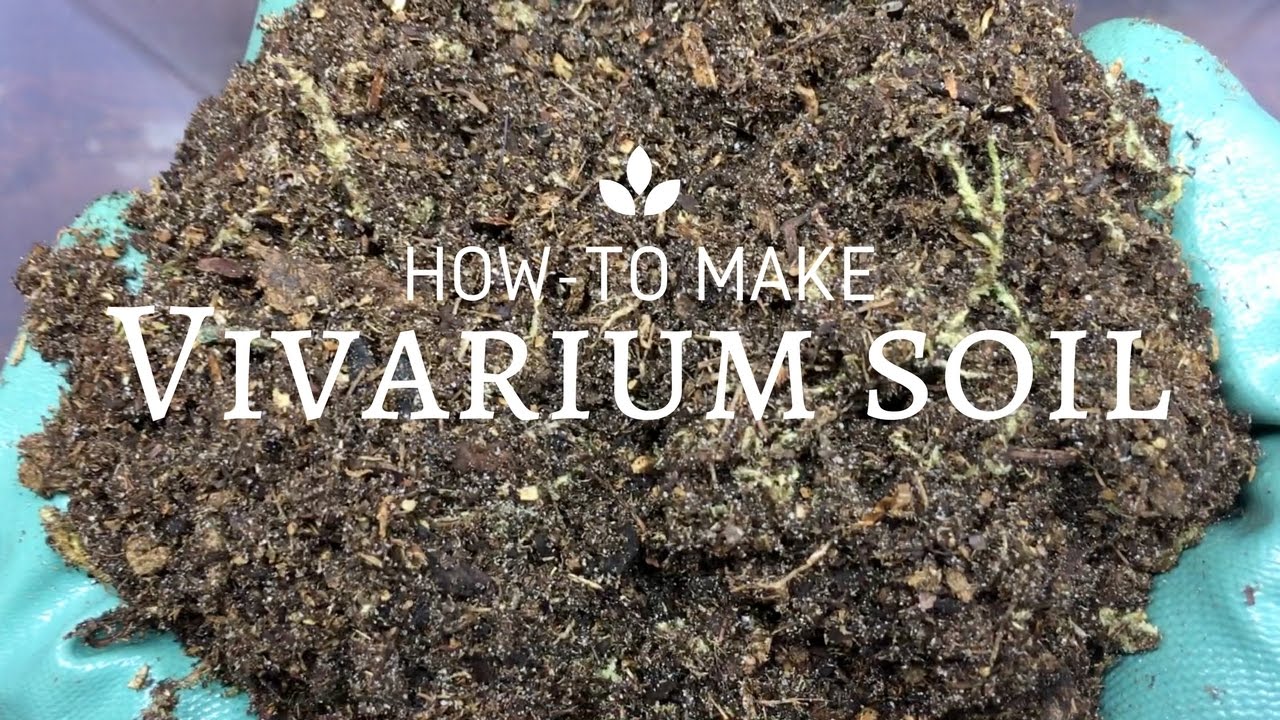 How to make Bio-Activated Vivarium Soil!