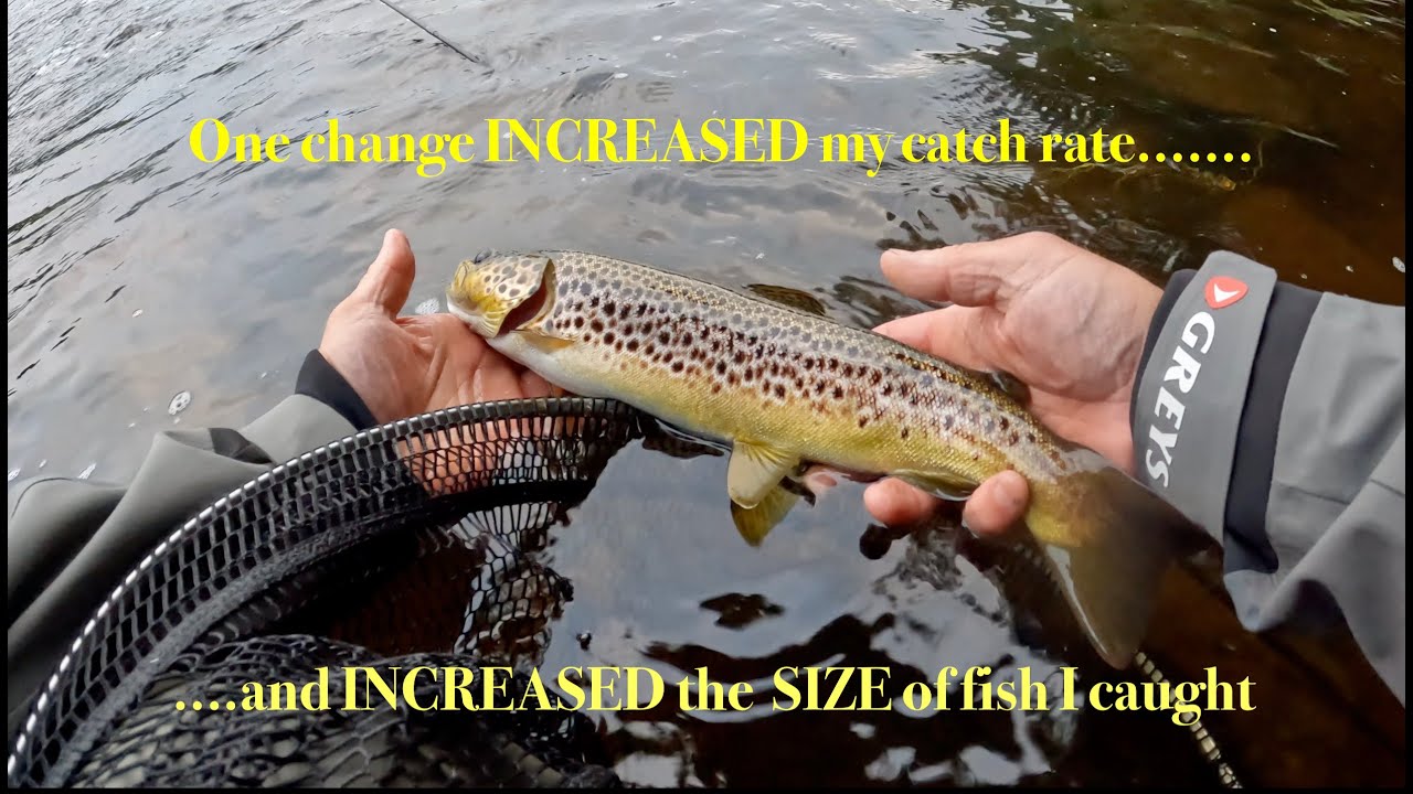 Make one change and INCREASE your catch rate and SIZE of fish! #fishing #euronymphing 4K