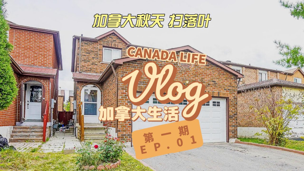 Vlog-1 小伙扫driveway上的树叶 | 加拿大的秋天 | 没完没了的maintain屋子 | 及时扫落叶才是好邻居 | 用blower扫树叶才是王道