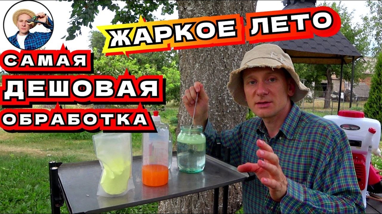 Жаркое лето: Секреты обработки серой для максимального эффекта 🌿
