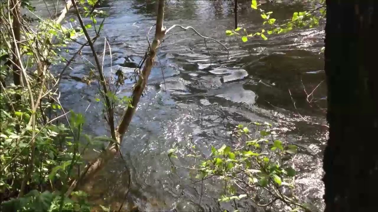 River Of Constant Change