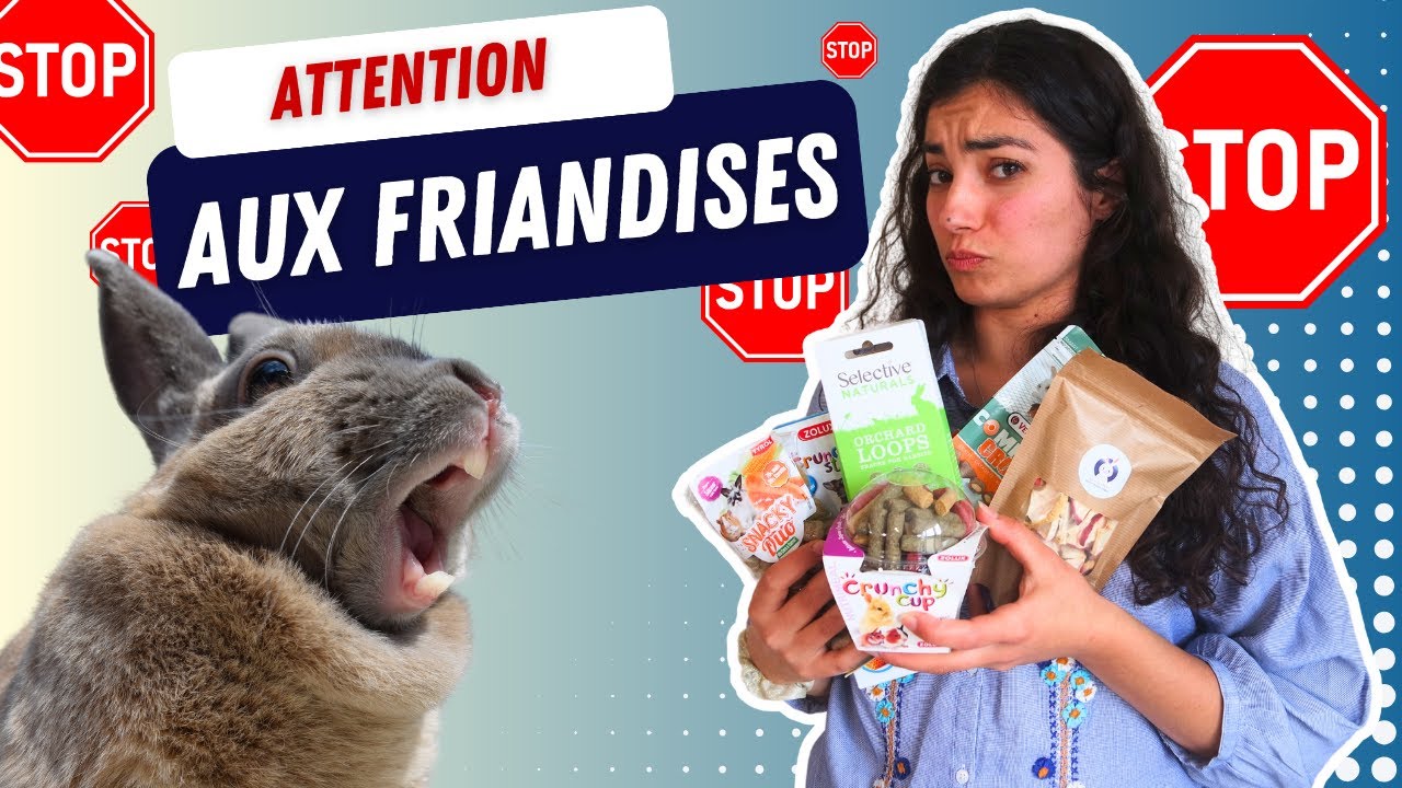 NE donne PAS ces friandises à ton lapin 😱🐰